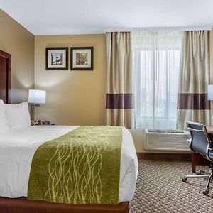 Queen Room City View